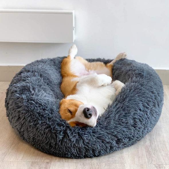 Cosy Calming Pet Bed - Waggy Tails