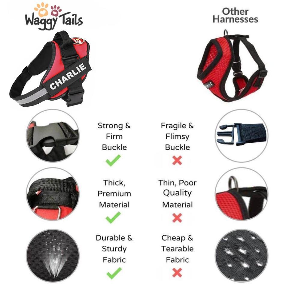 Personalised No Pull Dog Harness - Waggy Tails