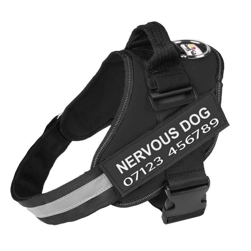 Personalised No Pull Dog Harness - Waggy Tails