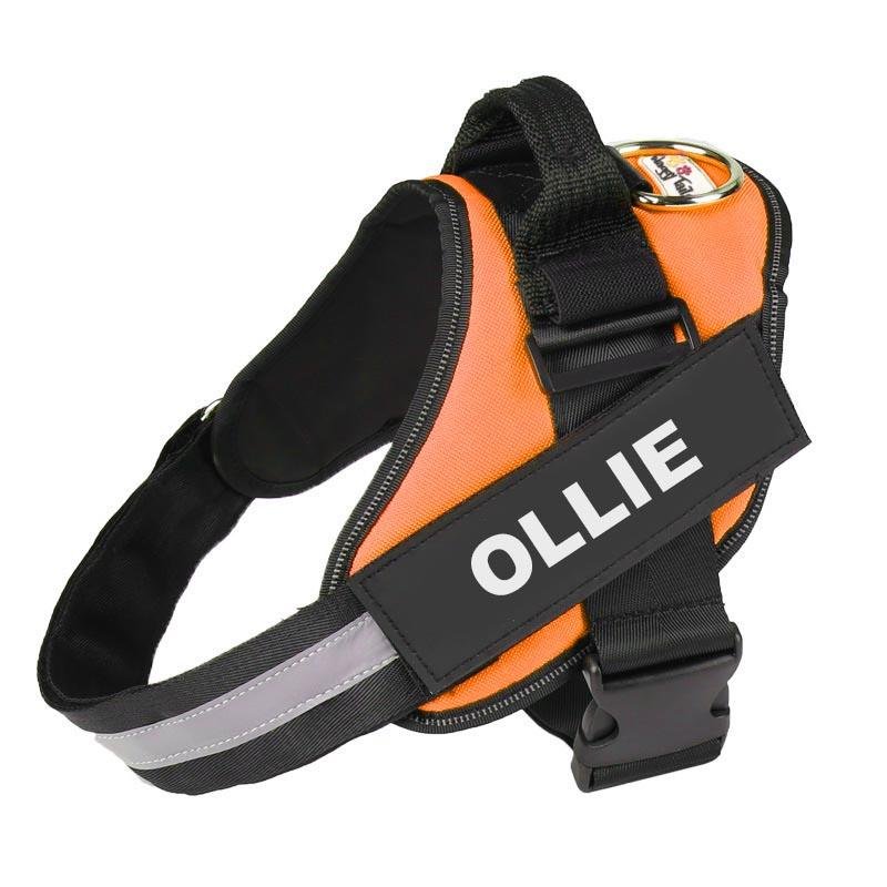 Personalised No Pull Dog Harness - Waggy Tails