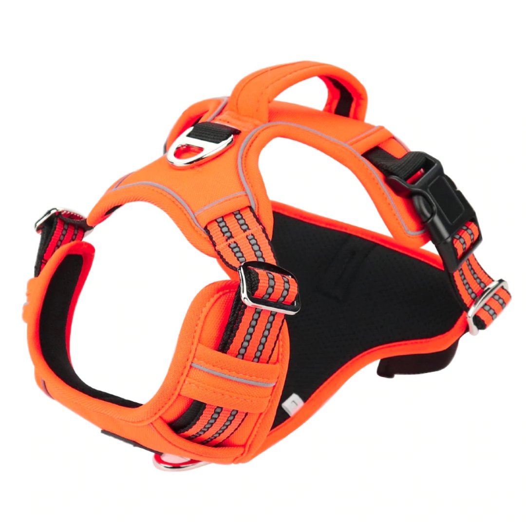 Premium Dog Harness Vest - Waggy Tails