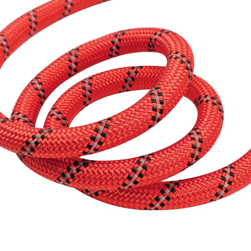 Strong Reflective Dog Leash - Waggy Tails