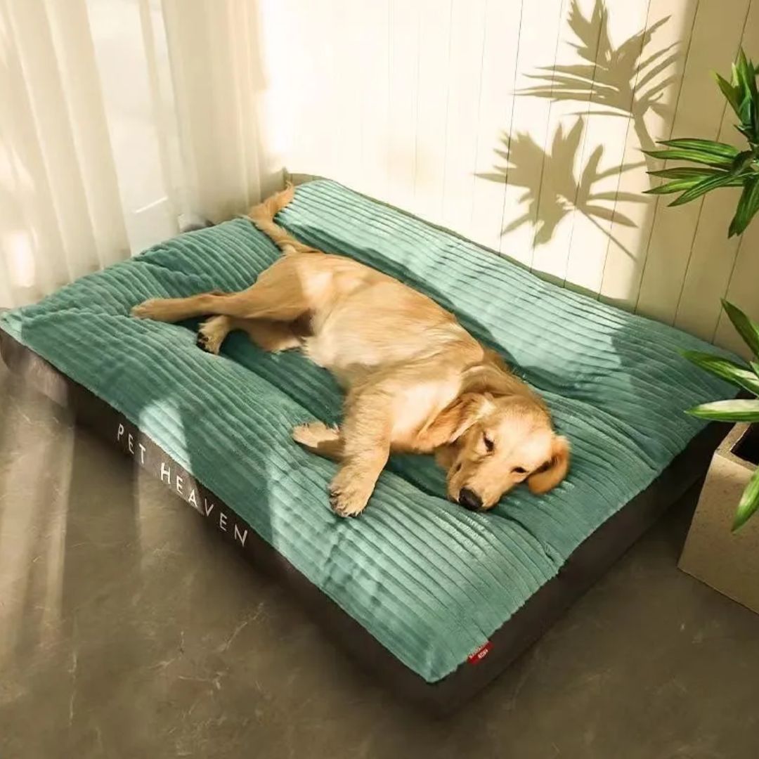 Modern Pet Sofa Bed