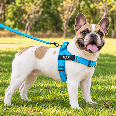 WaggyTailsLightweightPersonalisedDogHarnessDog2