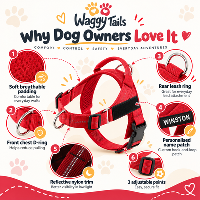 Personalised Lightweight Dog Harness with Name Patch