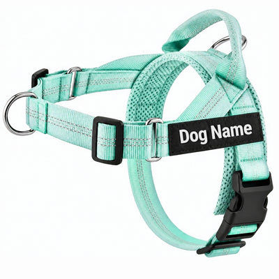 Personalised Lightweight Dog Harness with Name Patch