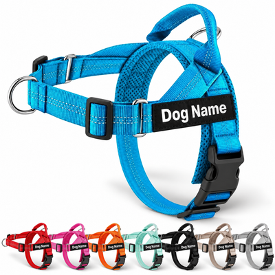 A bright blue personalized dog harness with a black name label reading 'Dog Name' and black plastic buckle, shown on a white background. Smaller thumbnails along the bottom show the same harness in multiple color options.
