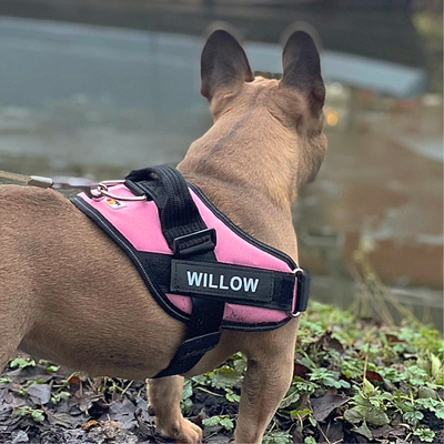 Personalized No Pull Dog Harness with Custom Name Tag