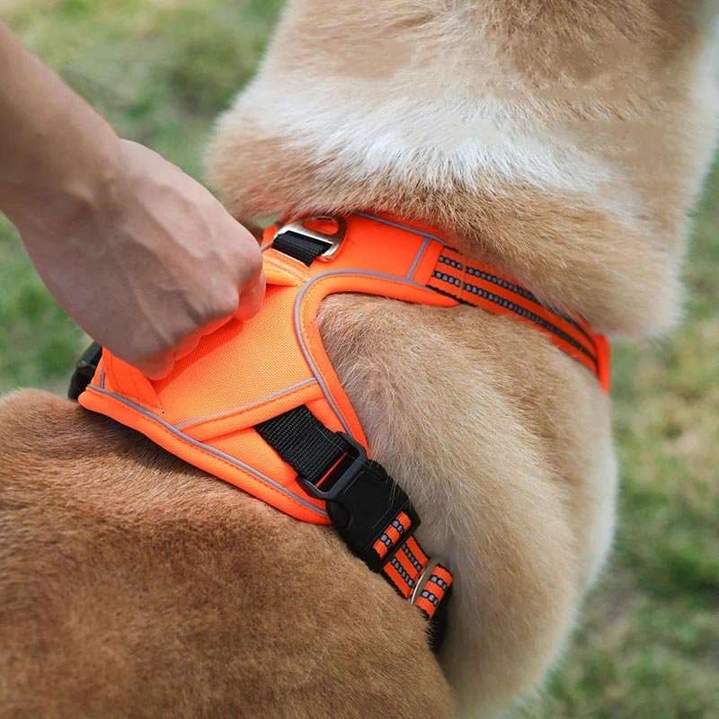Premium Dog Harness Vest