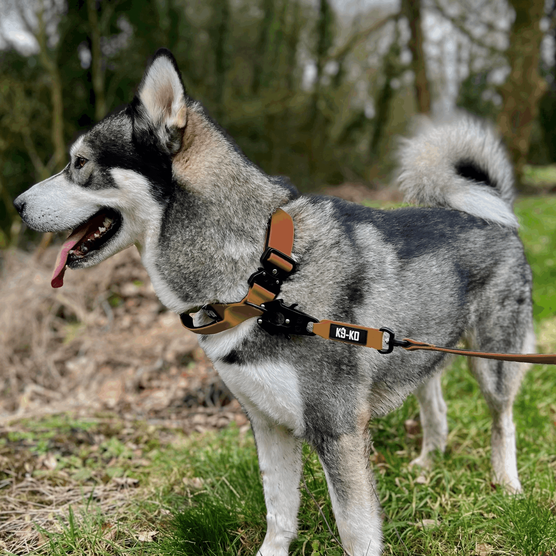 Combat Collar K9-KO