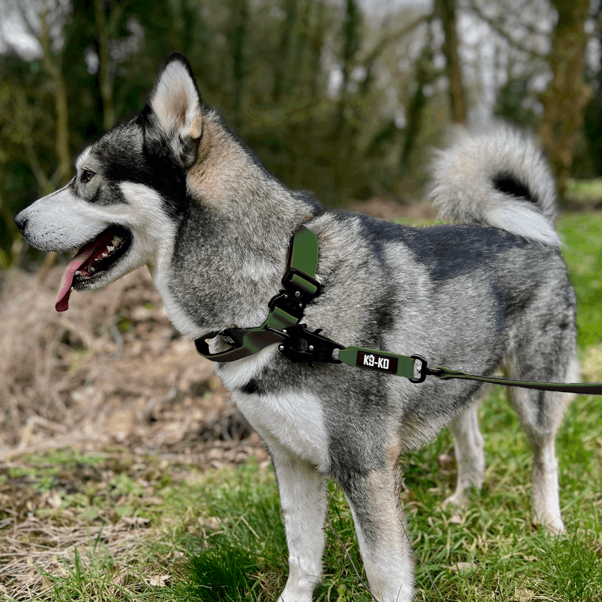 Combat Collar K9-KO