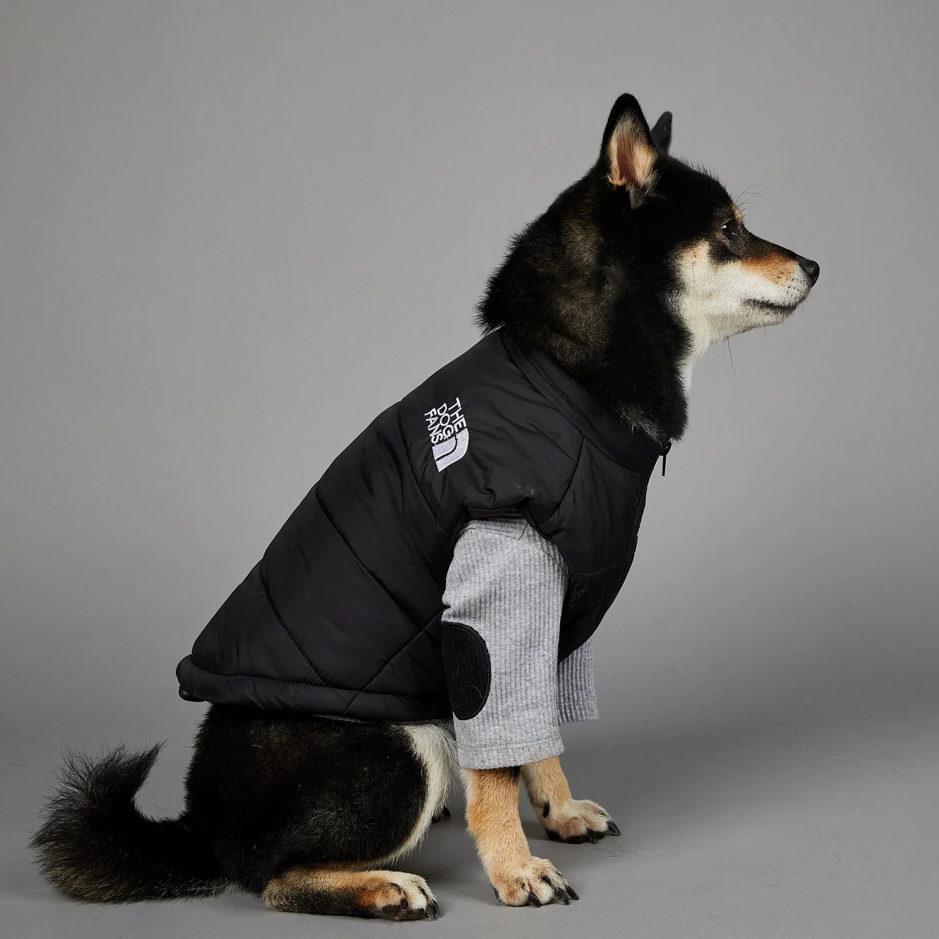 The Dog Fans Vest – Waggy Tails - Main Image