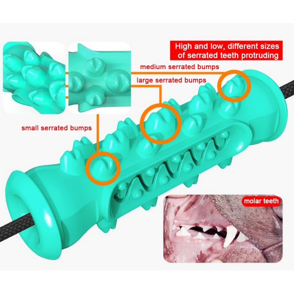 Molar Convex Dog Chew Toy for Effective Training and Tooth Cleaning