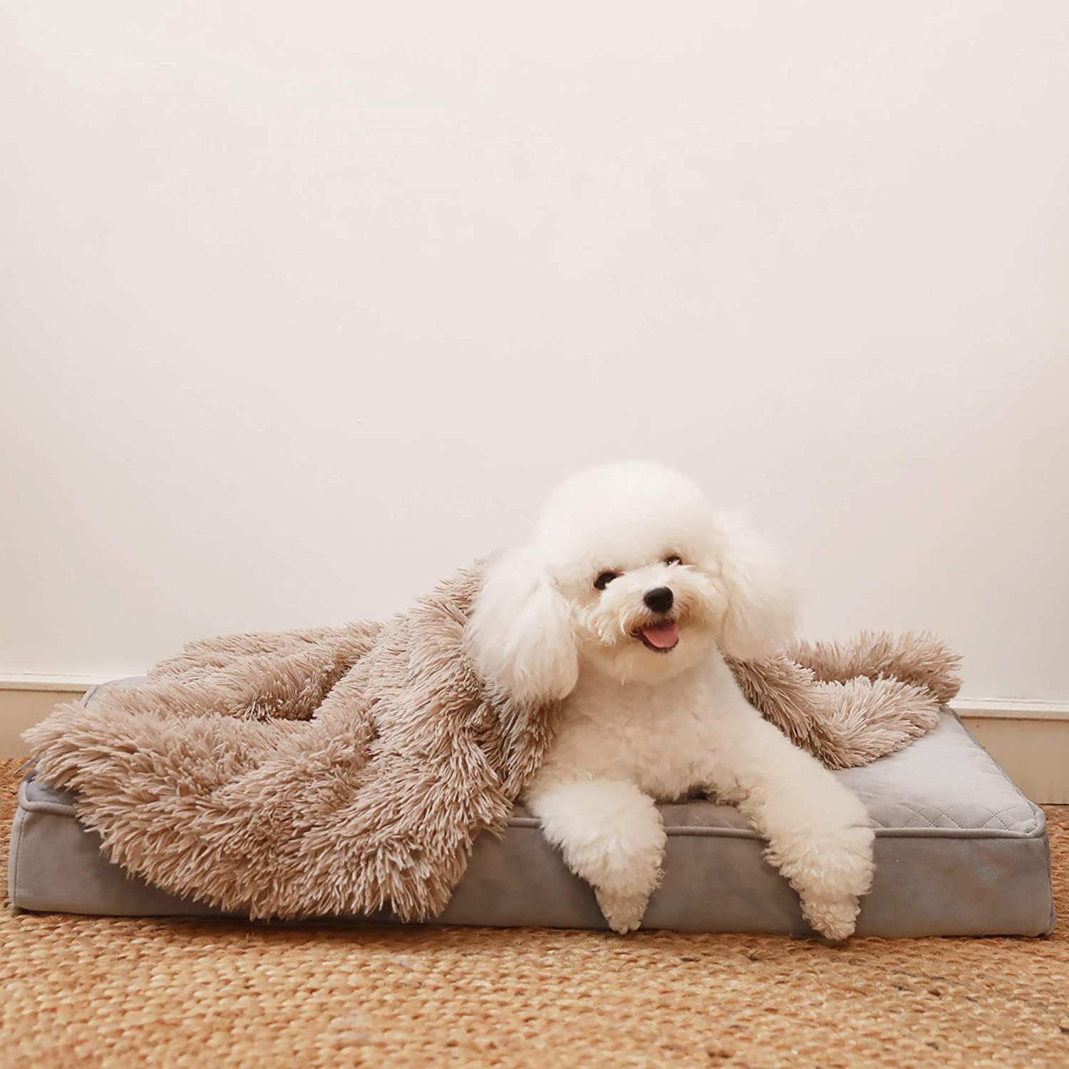 Cosy Calming Dog Blanket