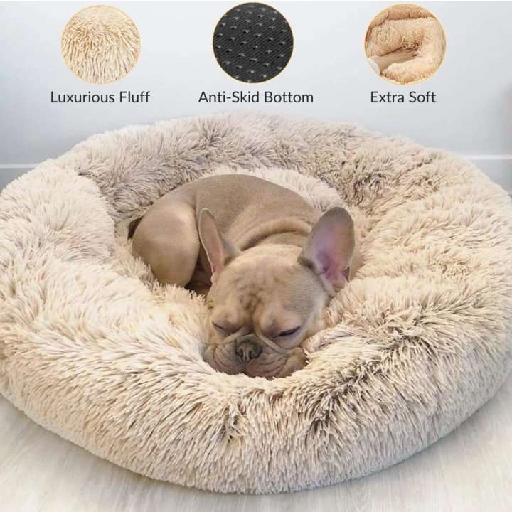 Calming pet outlet bed canada