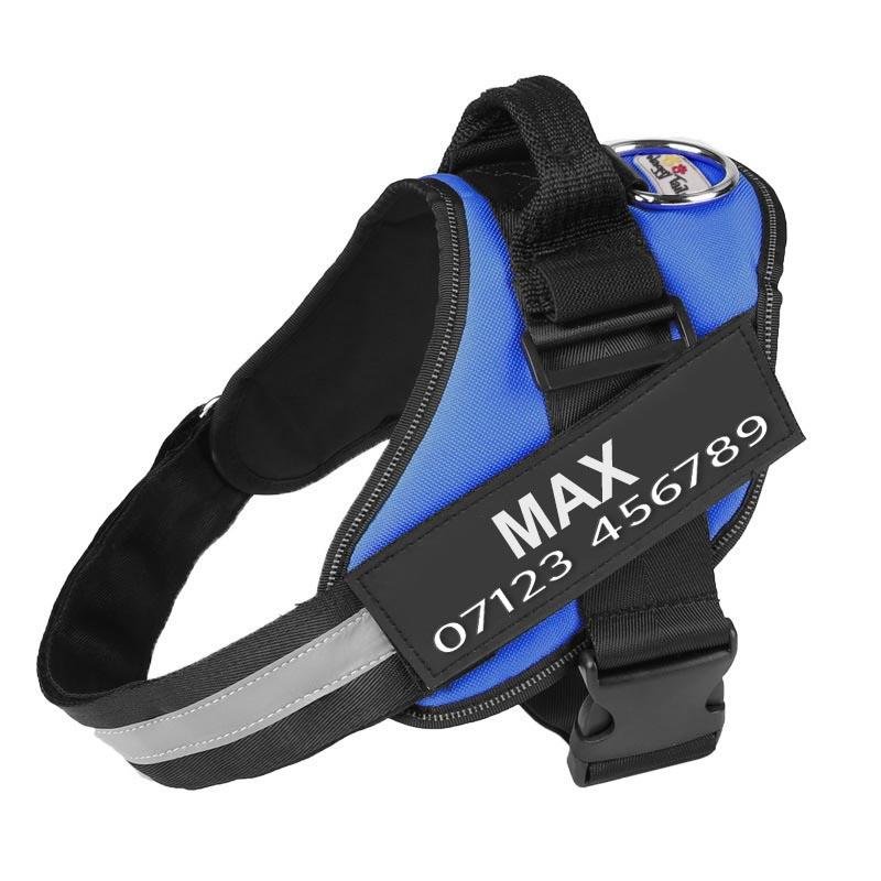 Personalised No Pull Dog Harness with Custom Name Tag — XS / Blue