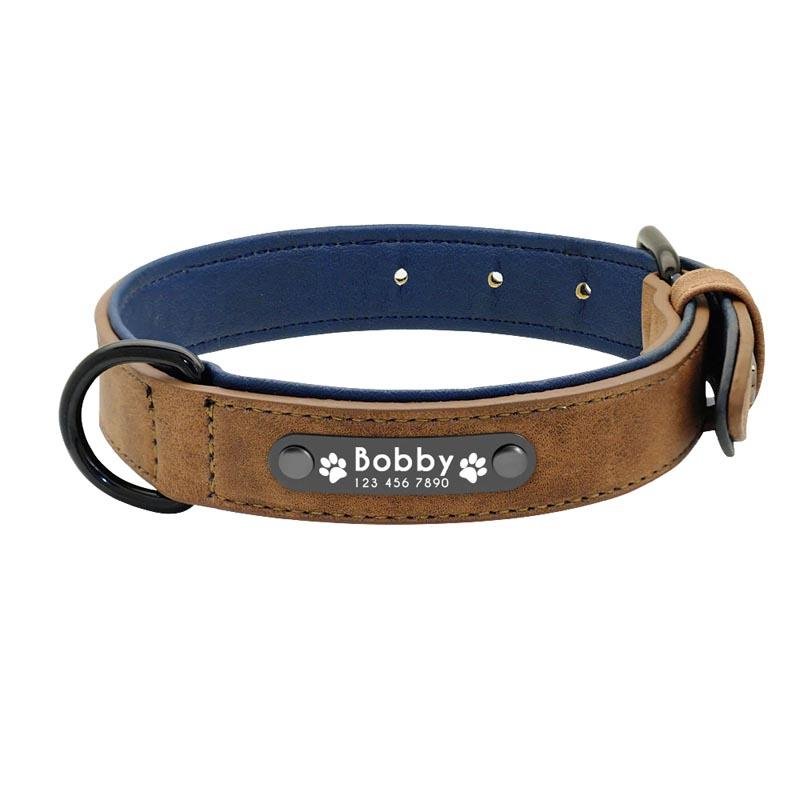 Personalized Designer Dog Collars  PetLink Store – The PetLink Store